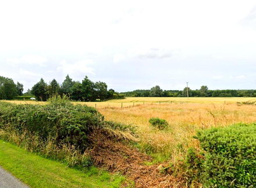 Commons, Dromiskin