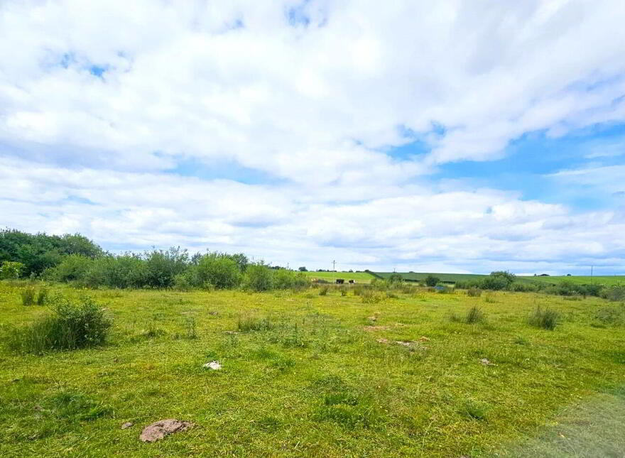 Townparks, Ardee