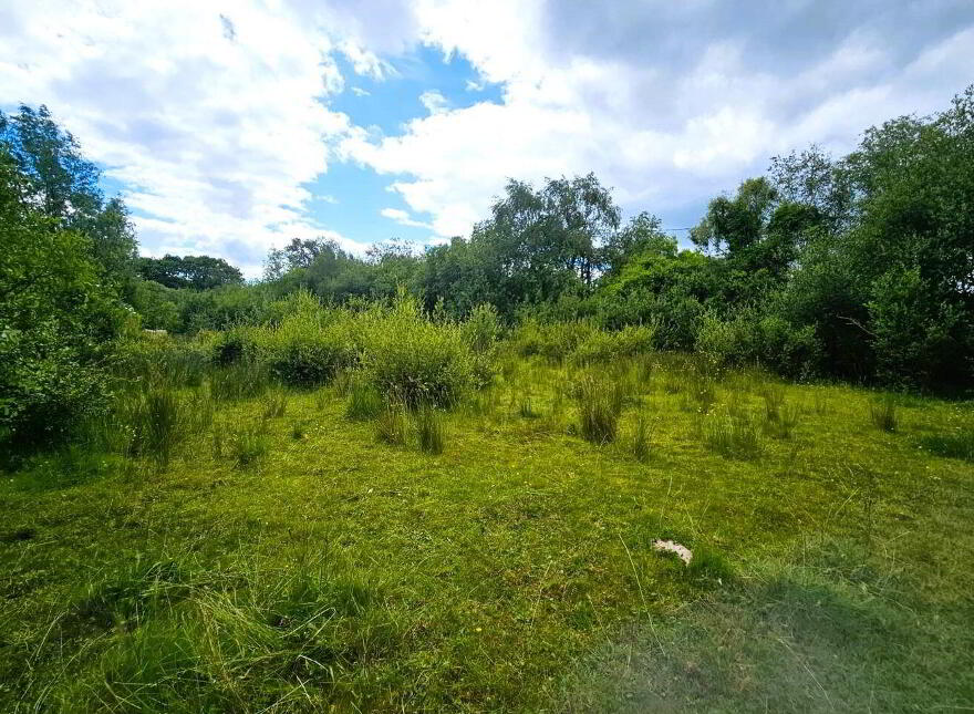 Townparks, Ardee