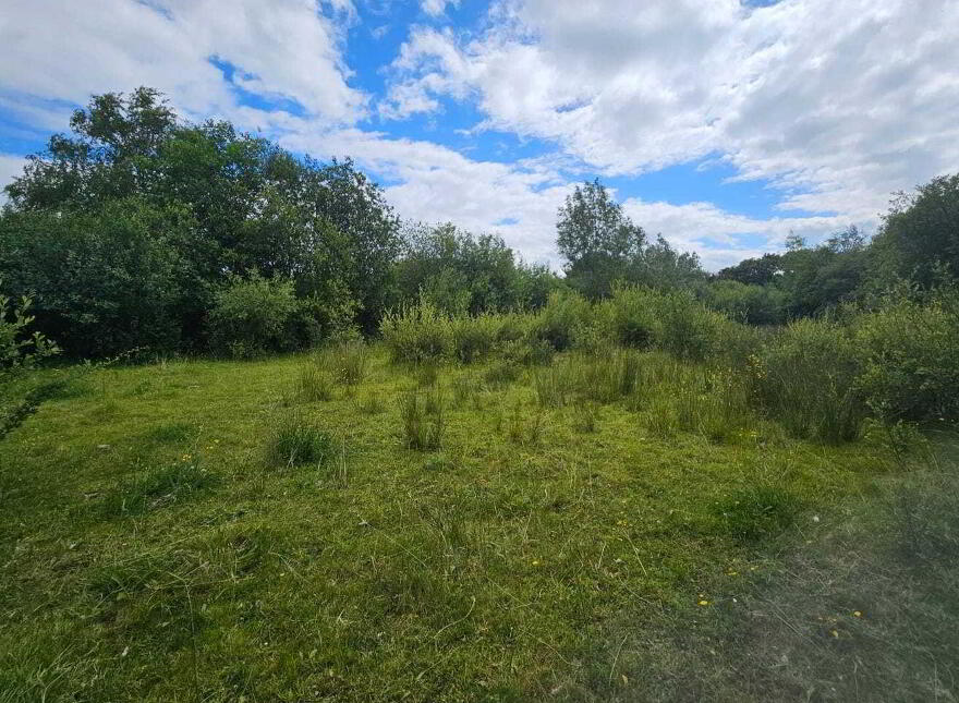 Townparks, Ardee