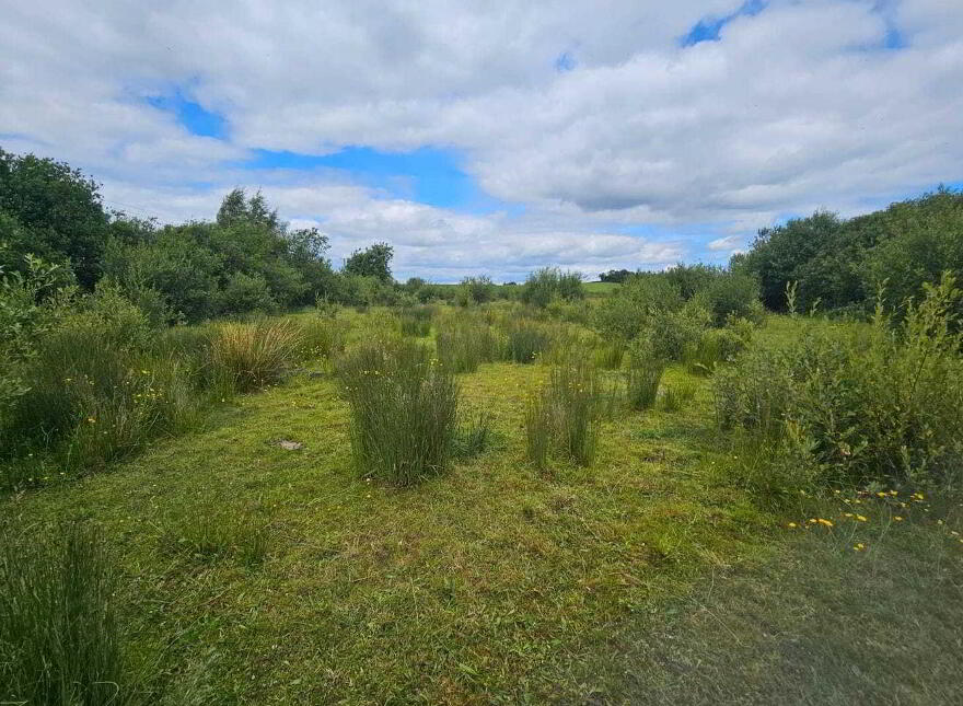 Townparks, Ardee