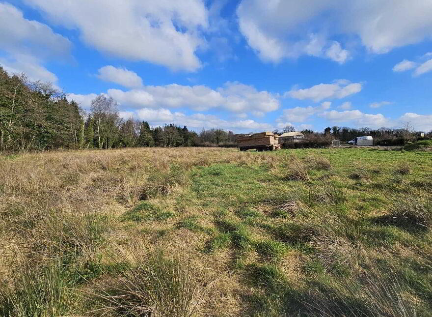 Tullykeel, Ardee, Ardee