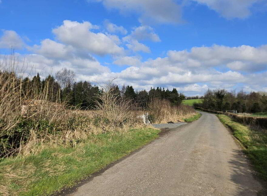 Tullykeel, Ardee, Ardee