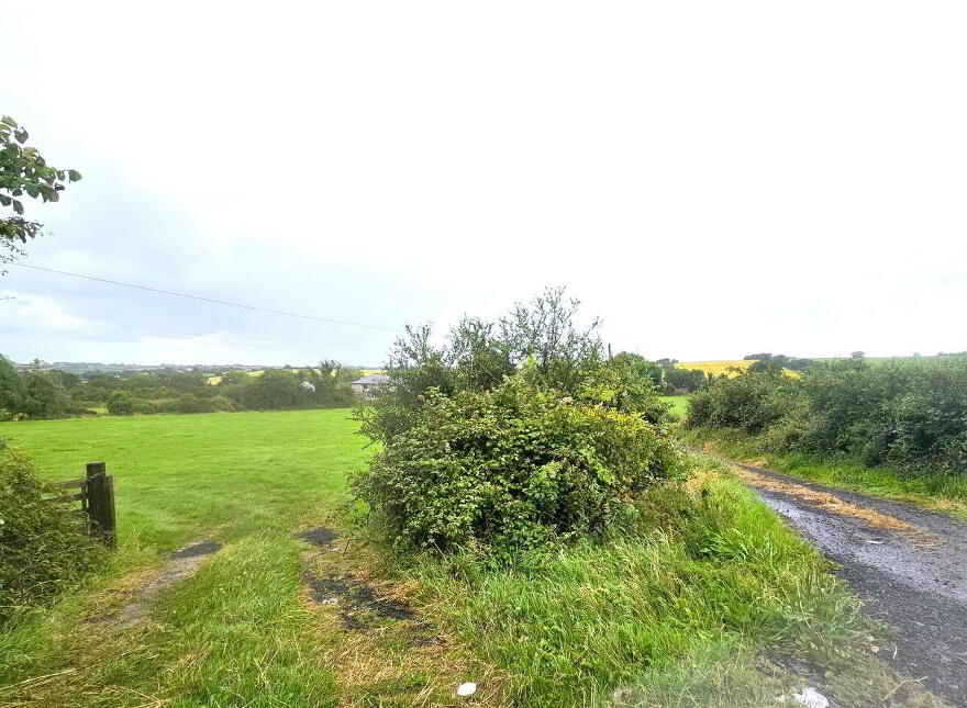 Rathescar, South Dunleer, Ardee, A92XE20