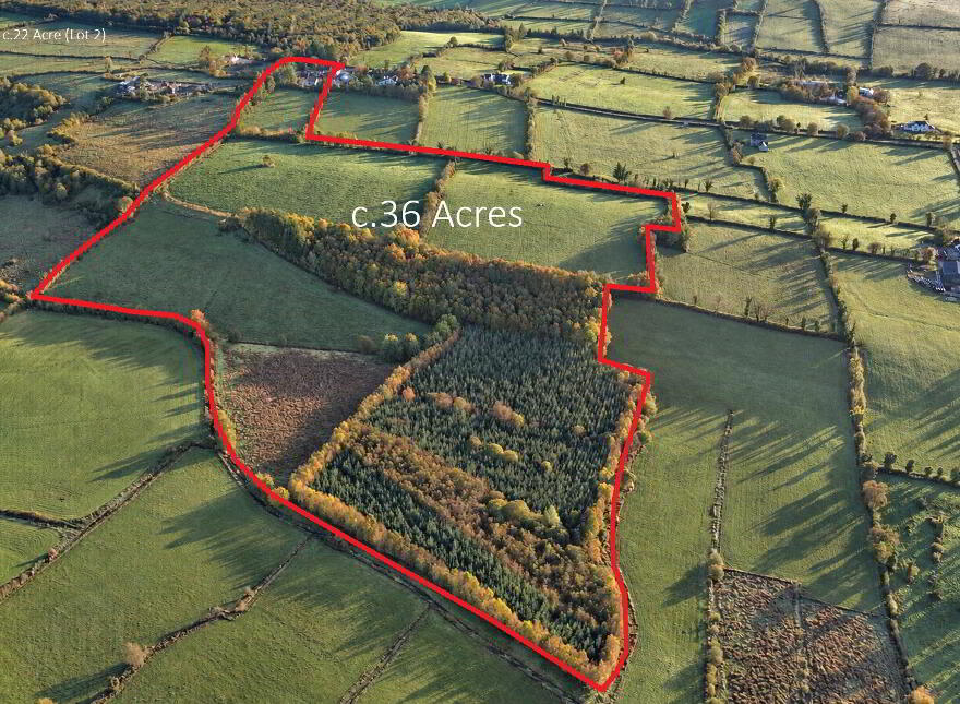 Drumboher, Cloone, N41W301