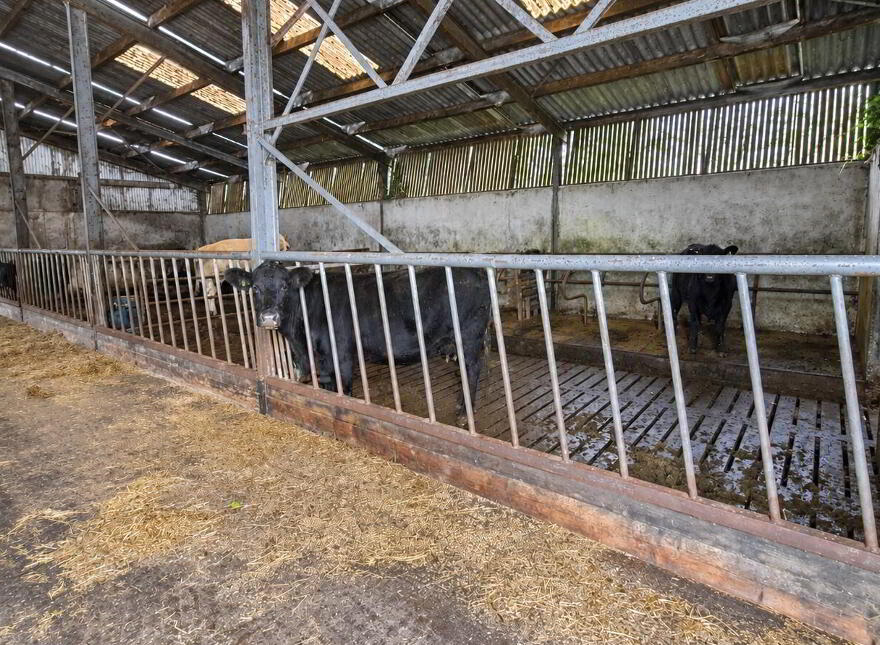 Drumboher, Cloone, N41W301
