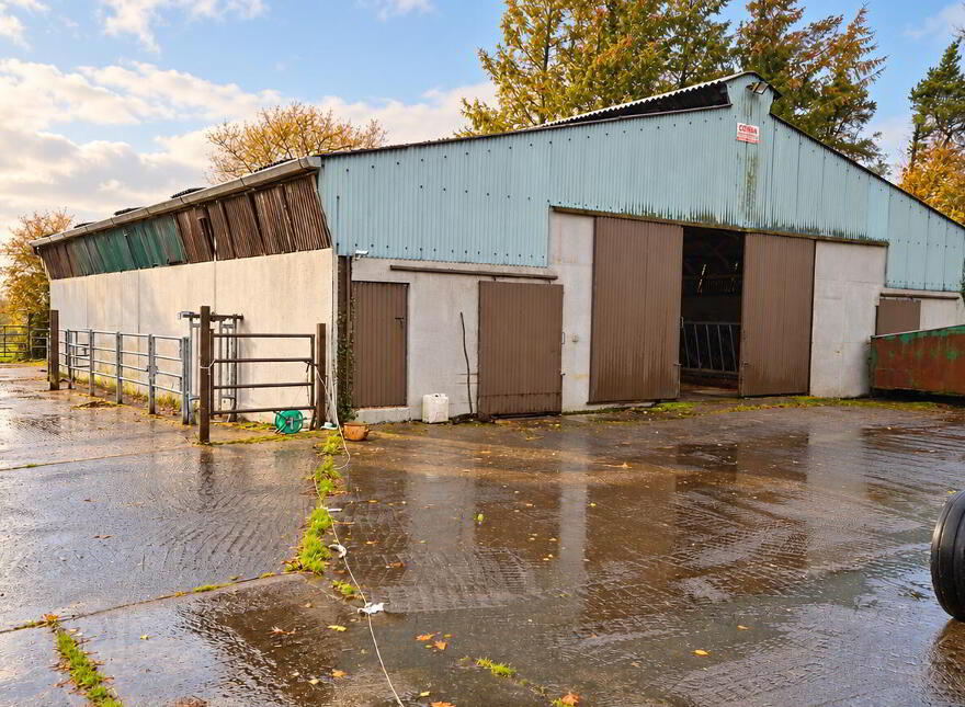 Drumboher, Cloone, N41W301