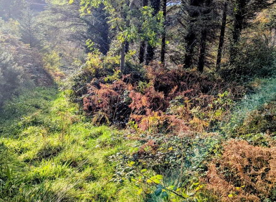 Keeldrum Middle, Dunlewy, Dunlewy, F92DP63
