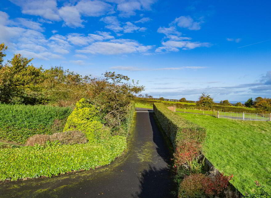 'Blueberry House', 219 Windyhill Road, Coleraine, BT51 4JL