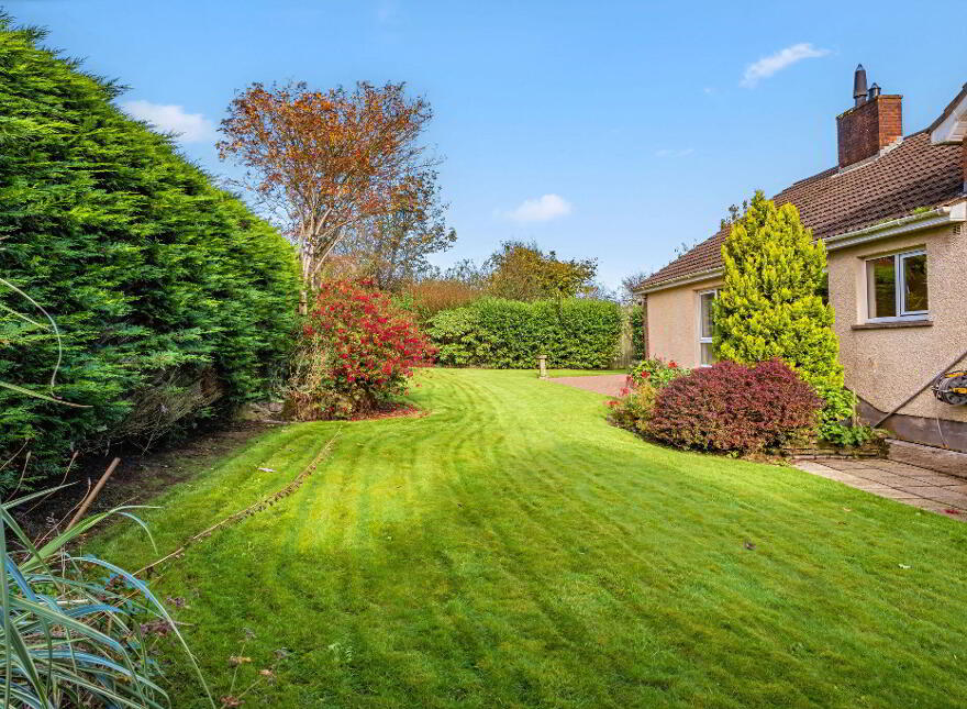 'Blueberry House', 219 Windyhill Road, Coleraine, BT51 4JL