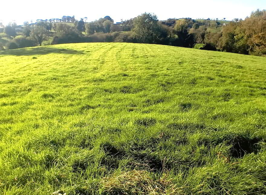 Dundian, Emyvale