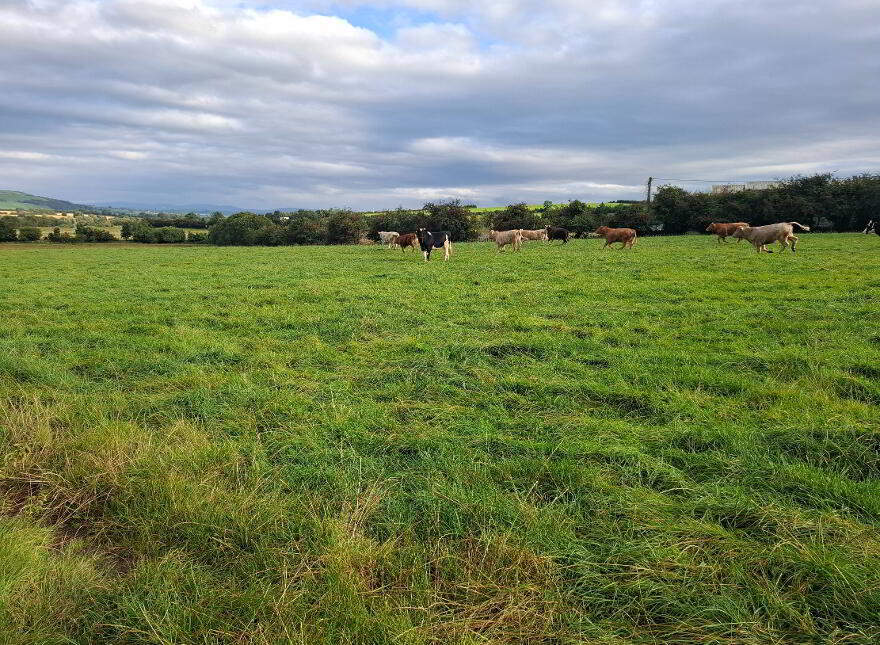 Approx 16 Acres, St Johnston