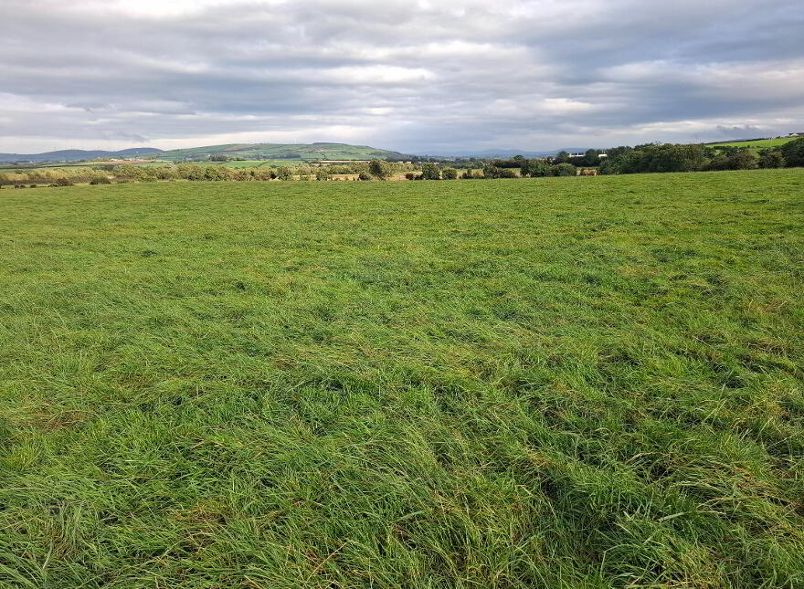 Approx 16 Acres, St Johnston