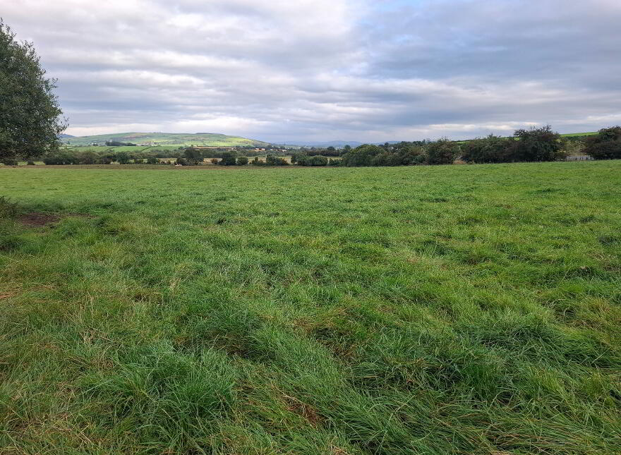 Approx 16 Acres, St Johnston