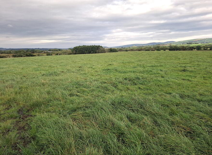 Approx 16 Acres, St Johnston