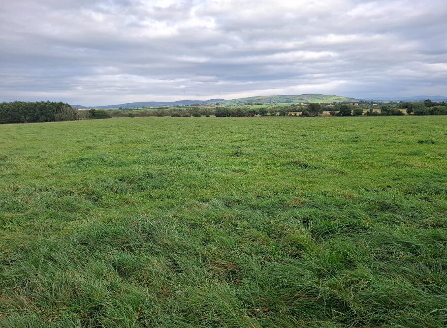 Approx 16 Acres, St Johnston