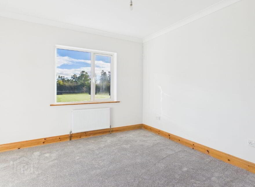 Killeen ( Leitrim), Kylebrack, Kylebrack, H62X981