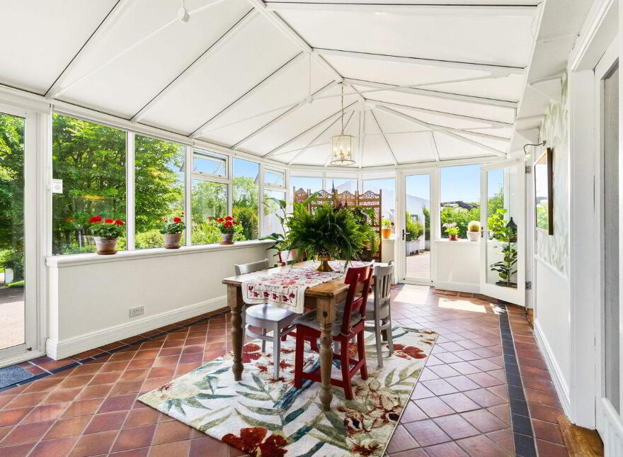 The Old House, Ballydaniel More, Ballymore, Cobh, P24N635