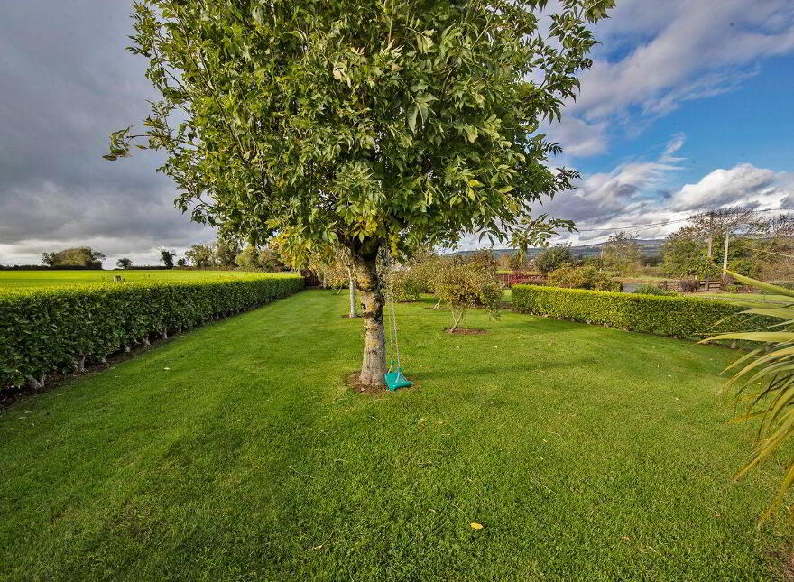 Coolowen, Glencairn, Tallow, P51W5C1