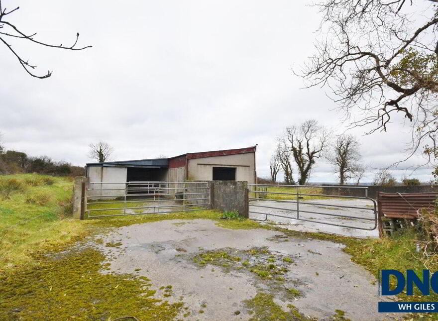 Knocknakilla, Kilflynn, V92H291