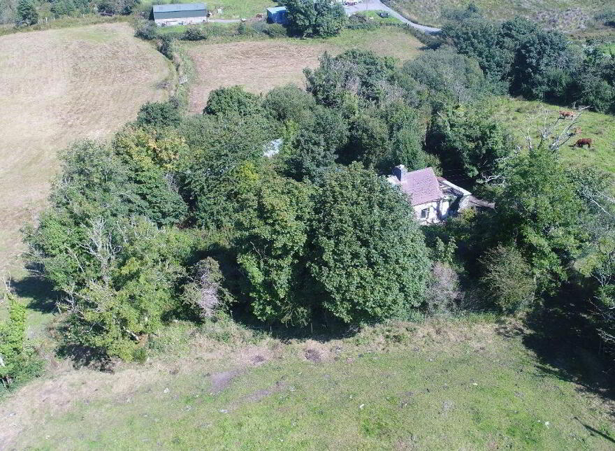 Greaghnafarna, Altagowlan, Altagowlan, N41XF24