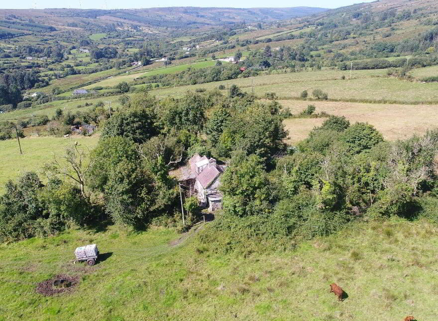 Greaghnafarna, Altagowlan, Altagowlan, N41XF24