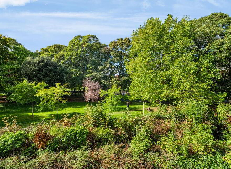 The Pines, Herbert Park Lane, Ballsbridge, Ballsbridge, D04FX38