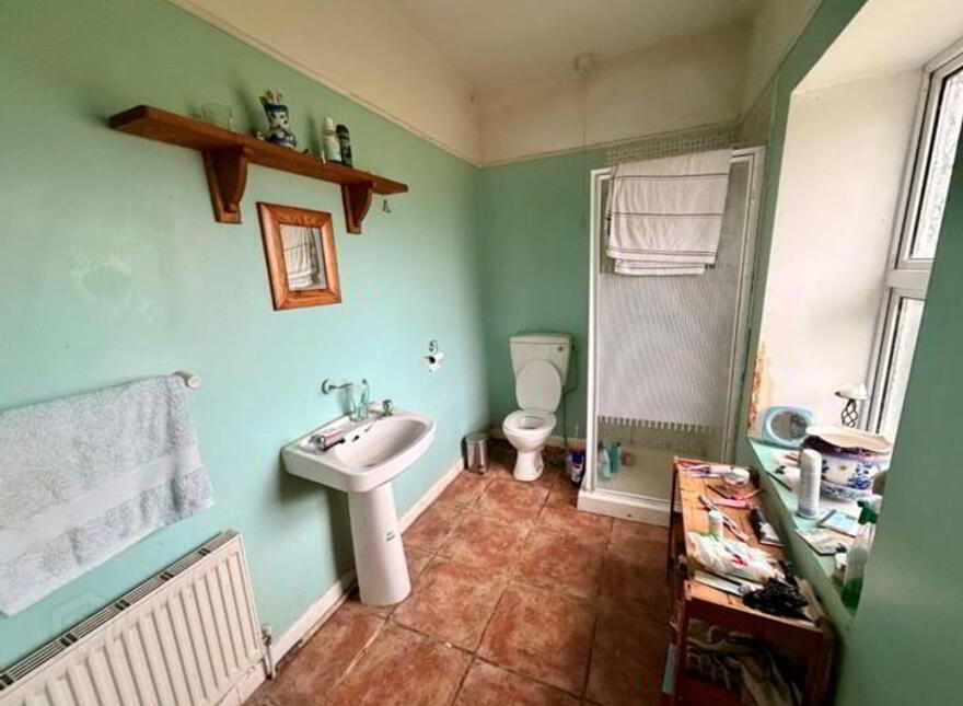 Lissacarn, Ballinamore, N41KF90