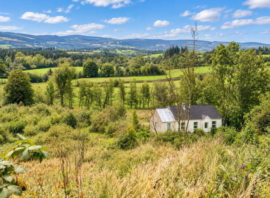 Lissacarn, Ballinamore, N41KF90