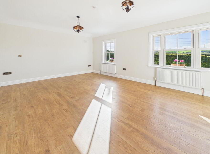 Blean, Toomevara, Sallypark, E45K265