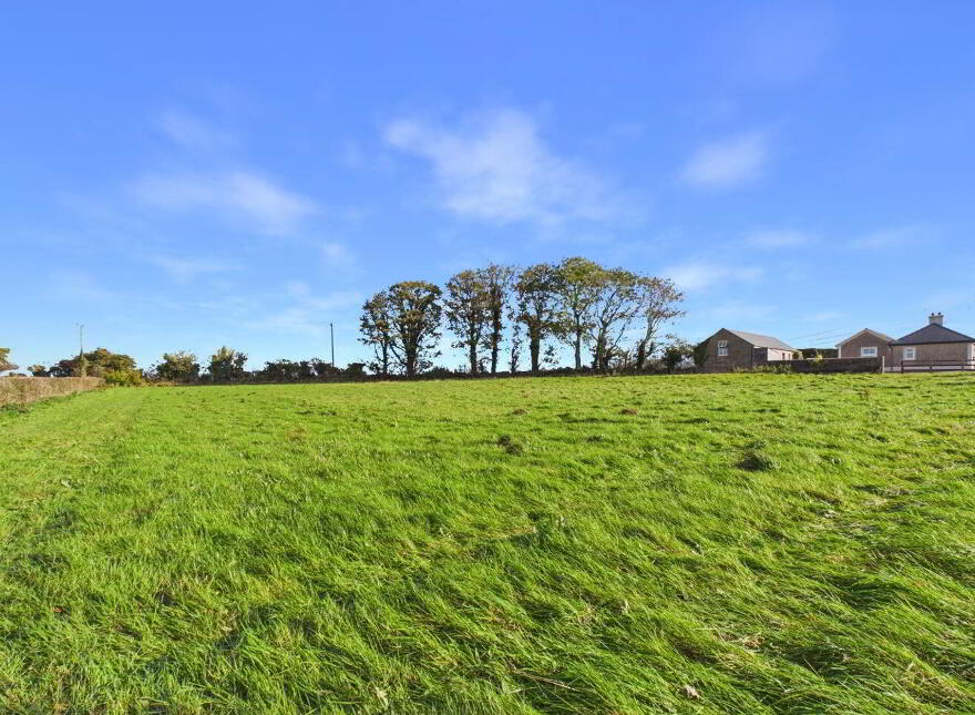 Blean, Toomevara, Sallypark, E45K265