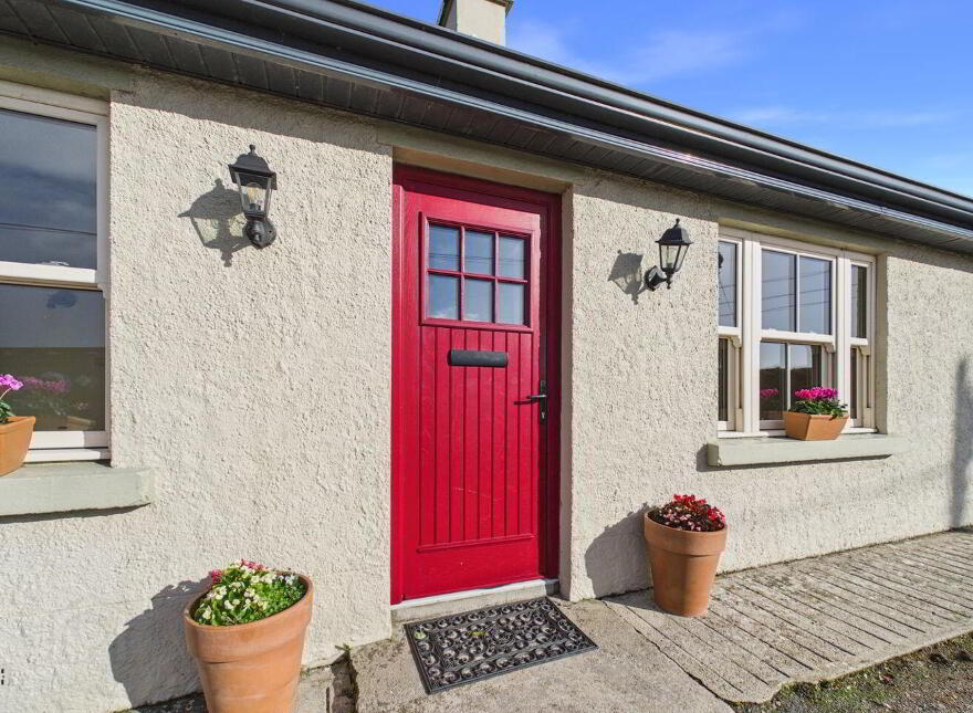 Blean, Toomevara, Sallypark, E45K265