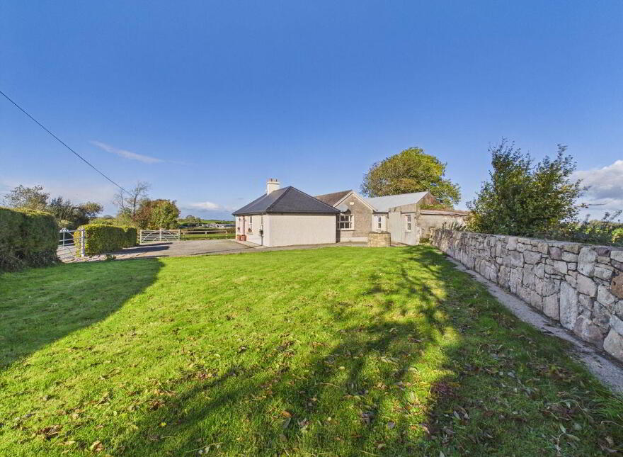 Blean, Toomevara, Sallypark, E45K265
