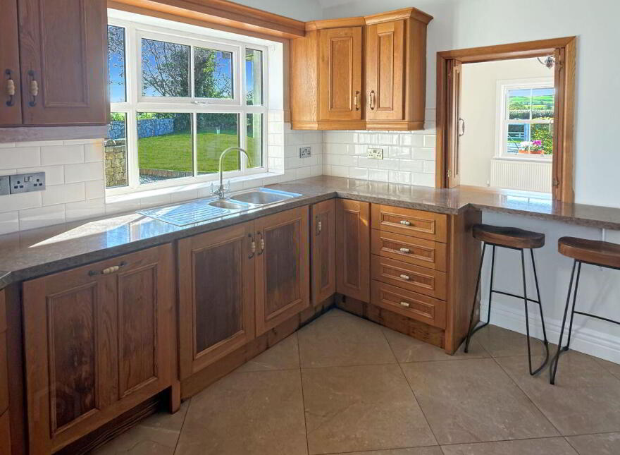 Blean, Toomevara, Sallypark, E45K265