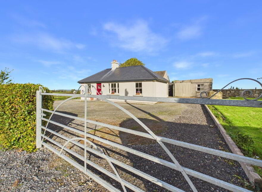 Blean, Toomevara, Sallypark, E45K265