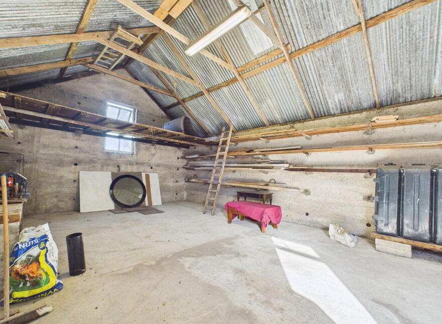 Blean, Toomevara, Sallypark, E45K265