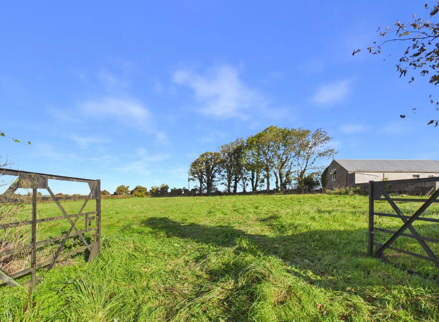 Blean, Toomevara, Sallypark, E45K265