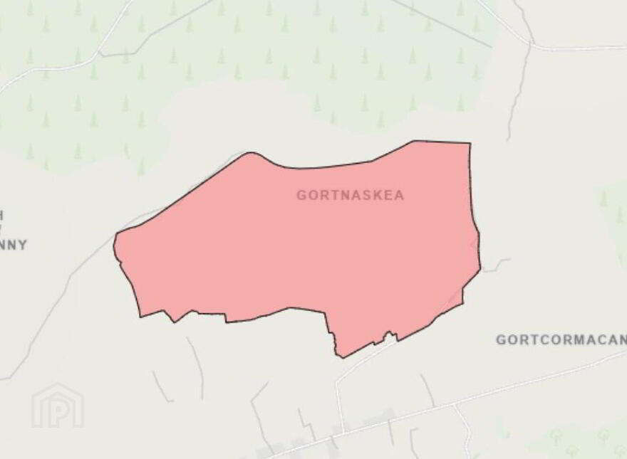 Gortnaskea, Burnfoot