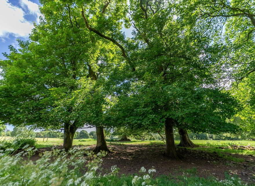 Streamstown House, Streamstown, N91AY72