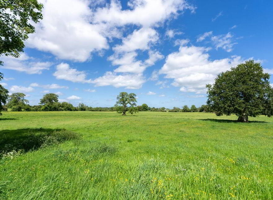 Streamstown House, Streamstown, N91AY72