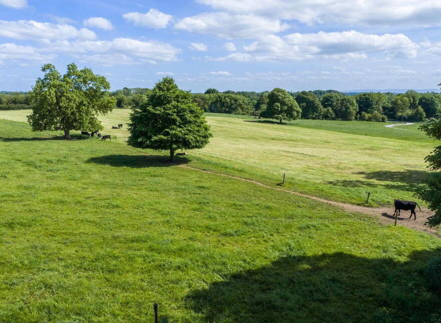 Streamstown House, Streamstown, N91AY72