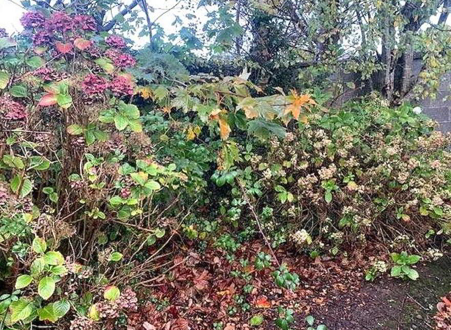 20 Ballyloughane Road, Renmore, H91W63P