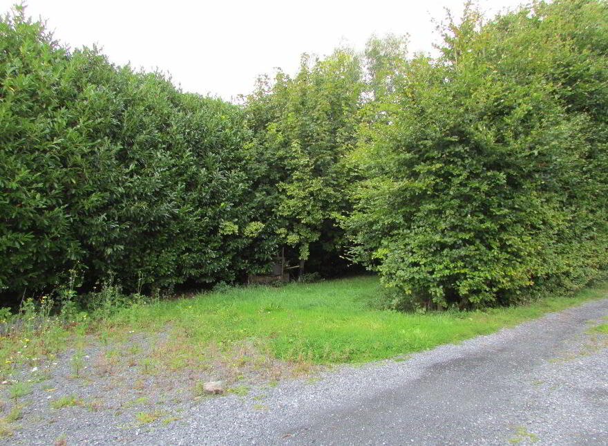 Monagee, Camus, Cashel, E25F437