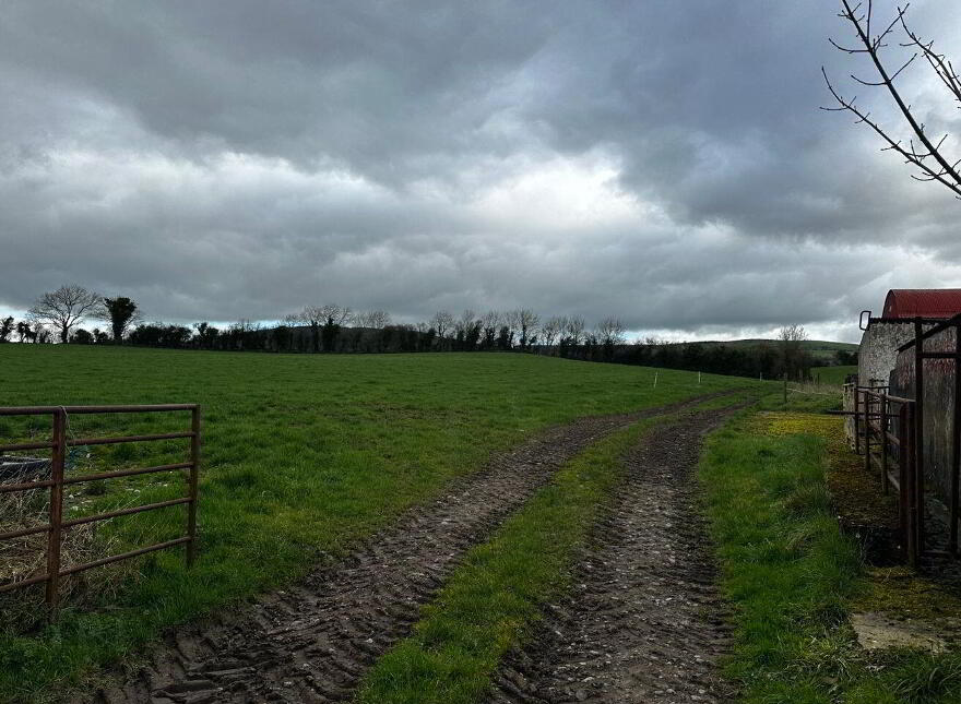 Clomantagh, Barna, Tubbrid