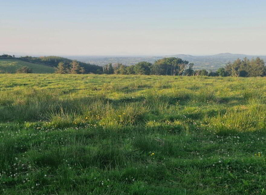 Rathcahill East, Monagea