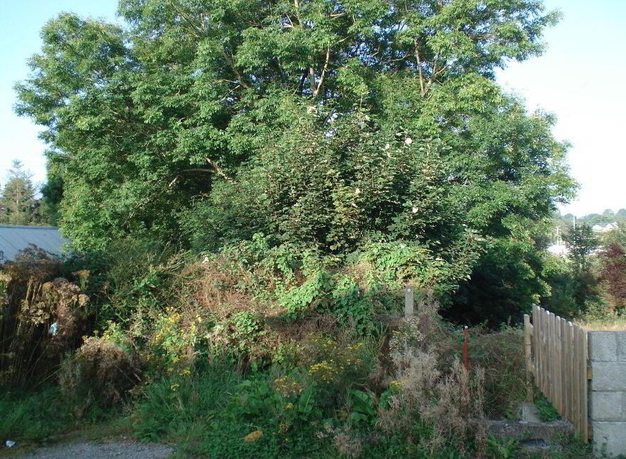 New Street, Abbeyfeale, V94E4C8