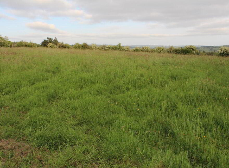 Caherlane, Abbeyfeale photo