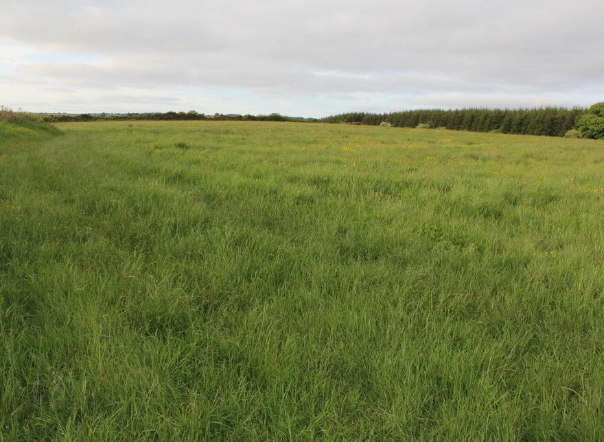 Caherlane, Abbeyfeale