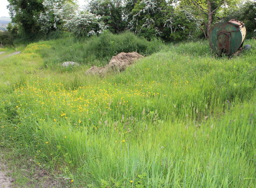 Caherlane, Abbeyfeale