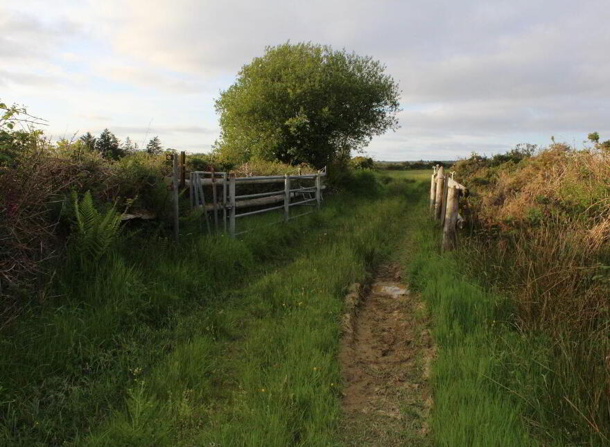 Caherlane, Abbeyfeale